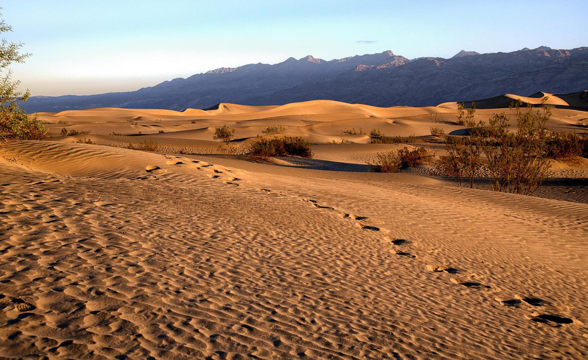 Footprints in the Sand Documentary photography by Vincent Ferrari Loupe, Inc